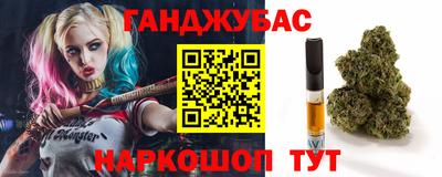 дмт Будённовск