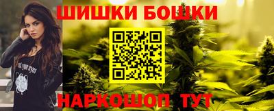 дмт Будённовск