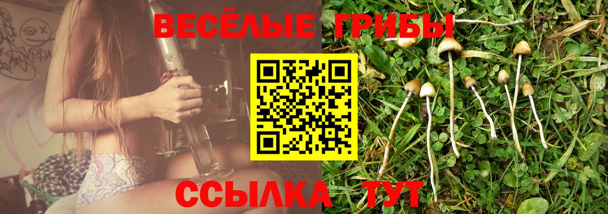 Старый Оскол  Галлюциногенные грибы Psilocybine cubensis  Вход с VPN 