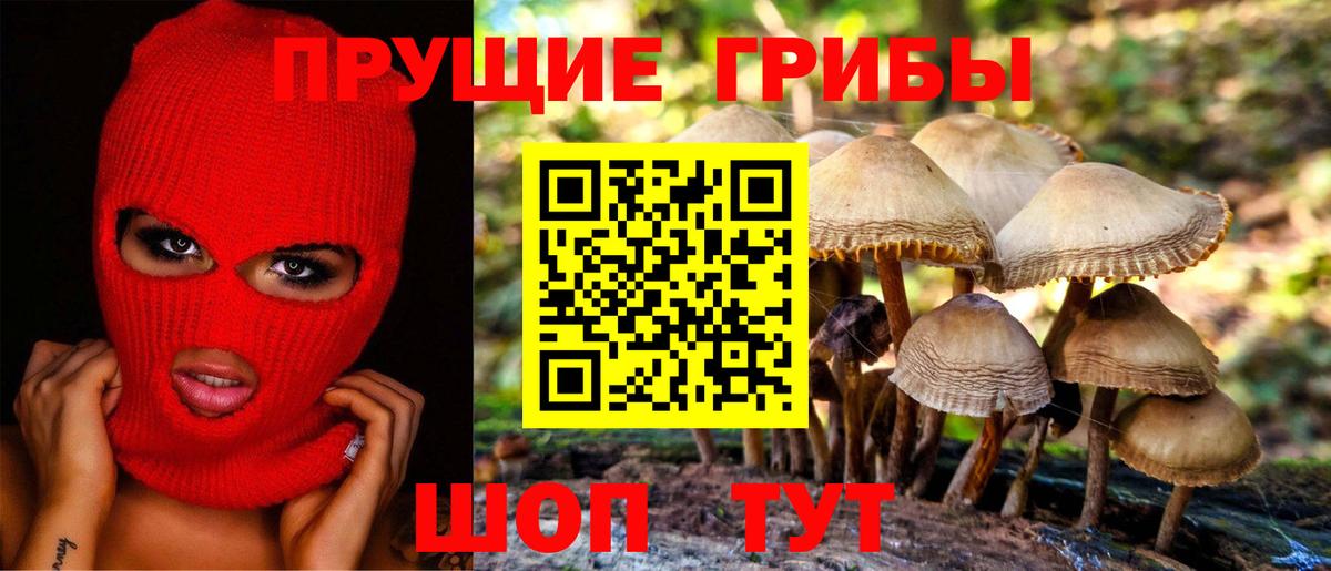 Псилоцибиновые грибы ЛСД Старый Оскол