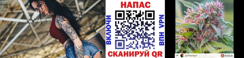 omg маркетплейс  Старый Оскол  Бошки Шишки THC 21% 